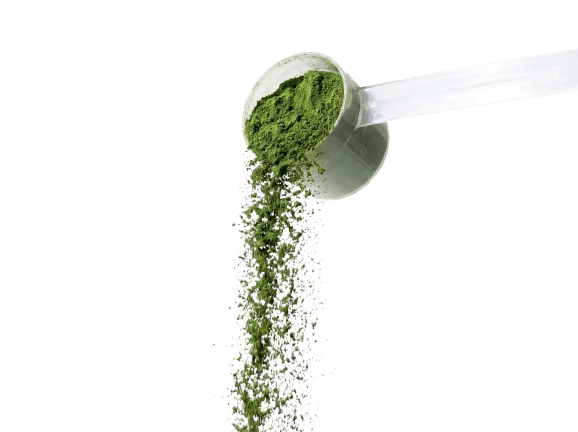 Phytologica greens powder being measured