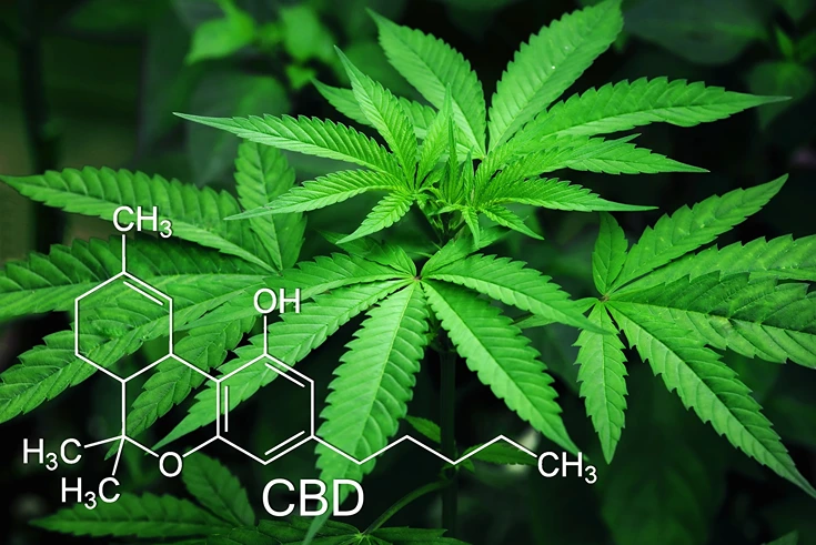 CBD Molecular Structure with Hemp Leafs in the Background